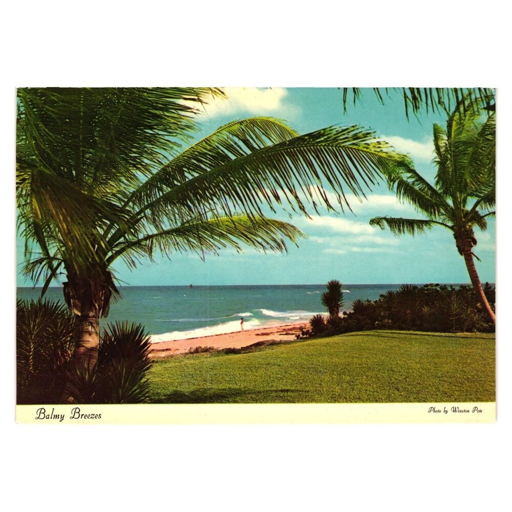 Vintage Balmy Breezes Florida Postcard Dexter Press Beach Scene Waves Vacation